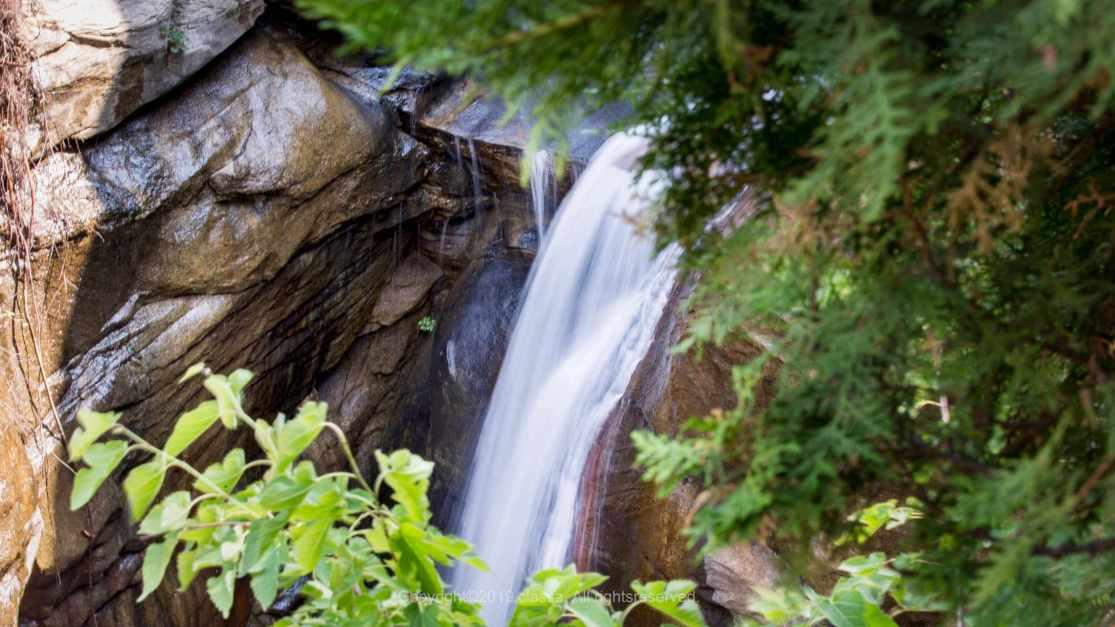 青山上这样1座祖墓，坟头多少年都不长草，难道是块福地游戏画面